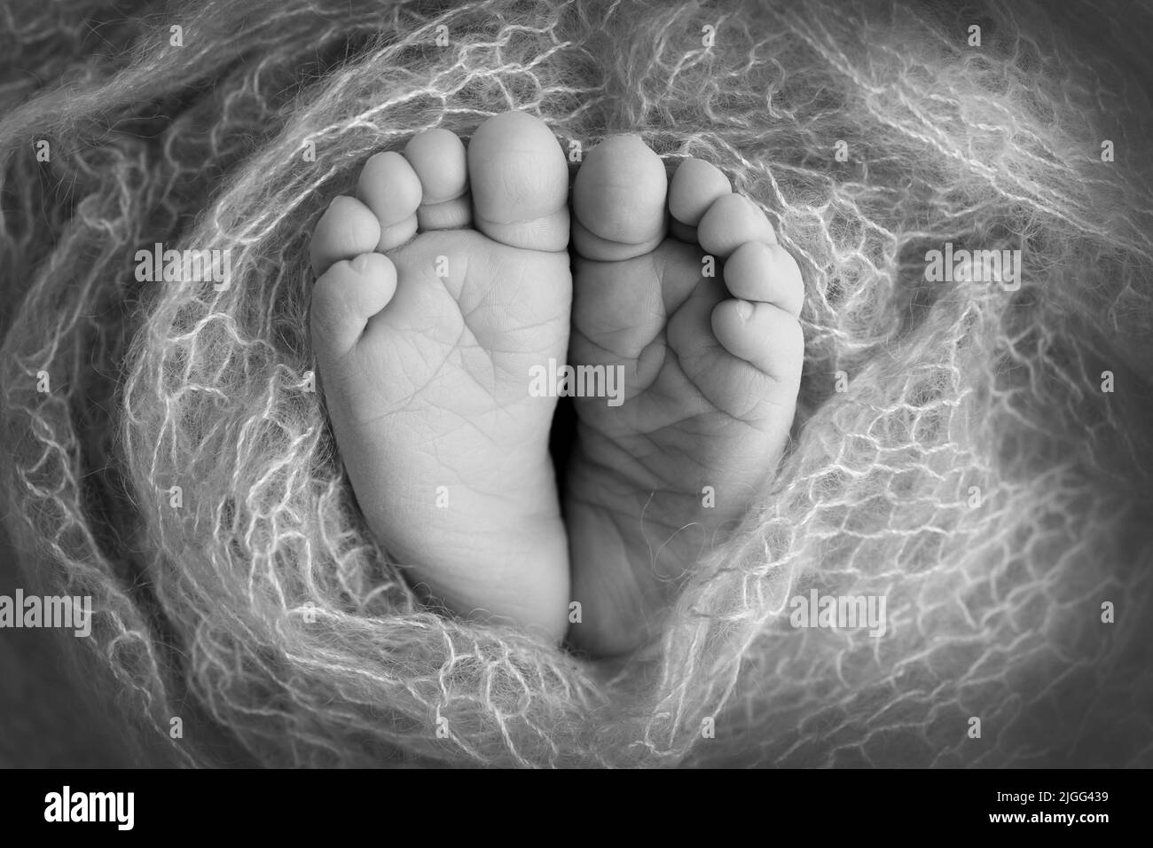 Le pied minuscule d'un nouveau-né.Pieds doux d'un nouveau-né dans une couverture.Gros plan des orteils, des talons et des pieds d'un nouveau-né. Banque D'Images