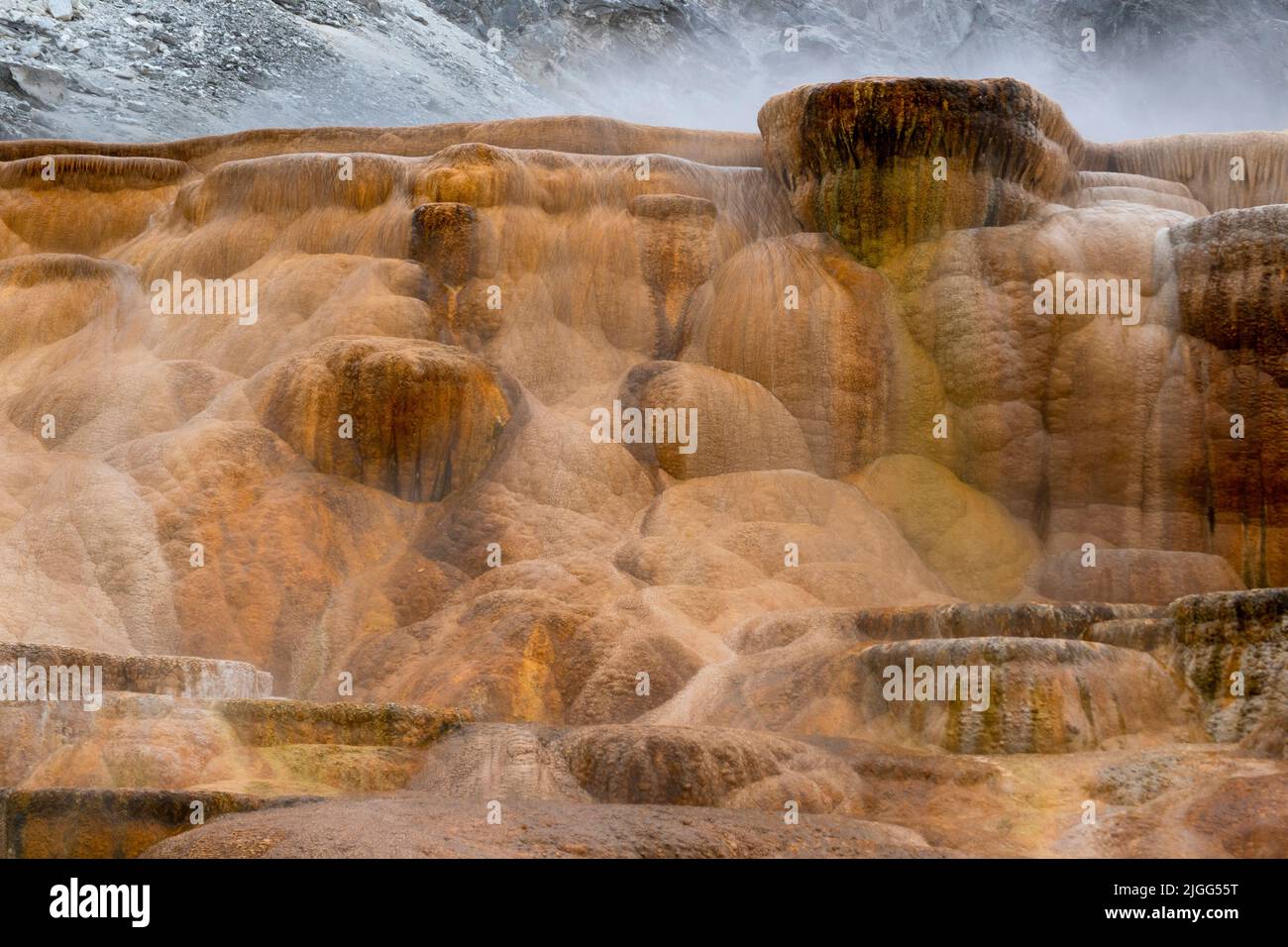 Dépôt minéral crée des terrasses colorées dans la terrasse principale de Mammoth Hot Springs à Yellowstone NP, WY, US. Banque D'Images