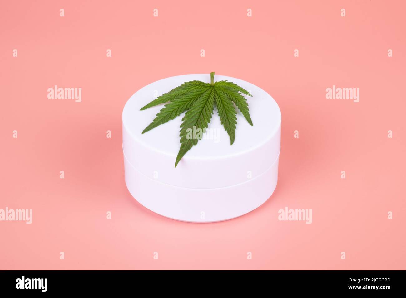 Les cosmétiques naturels de la marijuana cannabis , crème et vert feuille sur la beauté fond rose. Banque D'Images