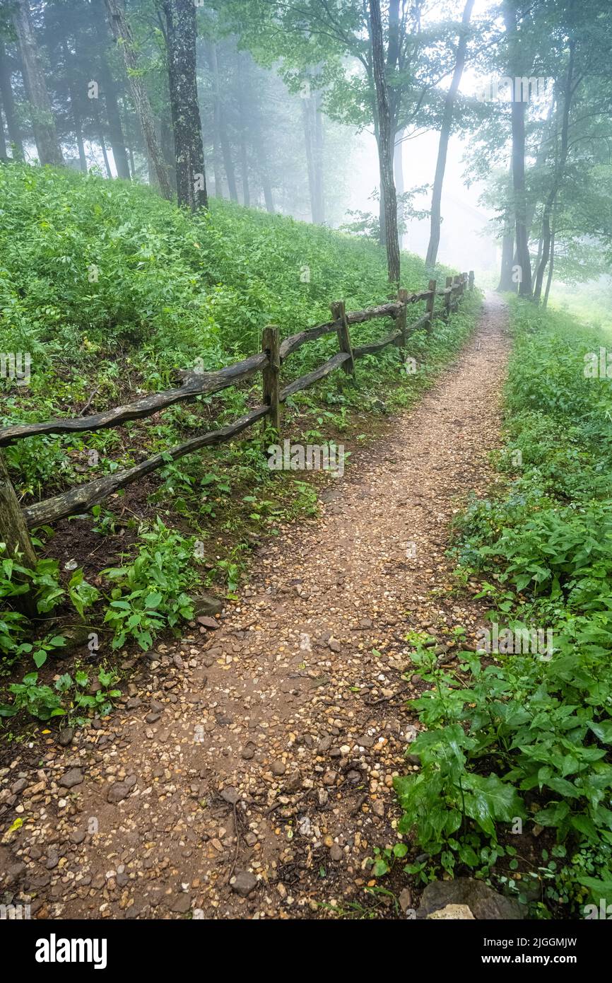 Brume de montagne sur le sentier des Appalaches à Neels Gap (Neel Gap) dans les montagnes du nord-est de la Géorgie. (ÉTATS-UNIS) Banque D'Images