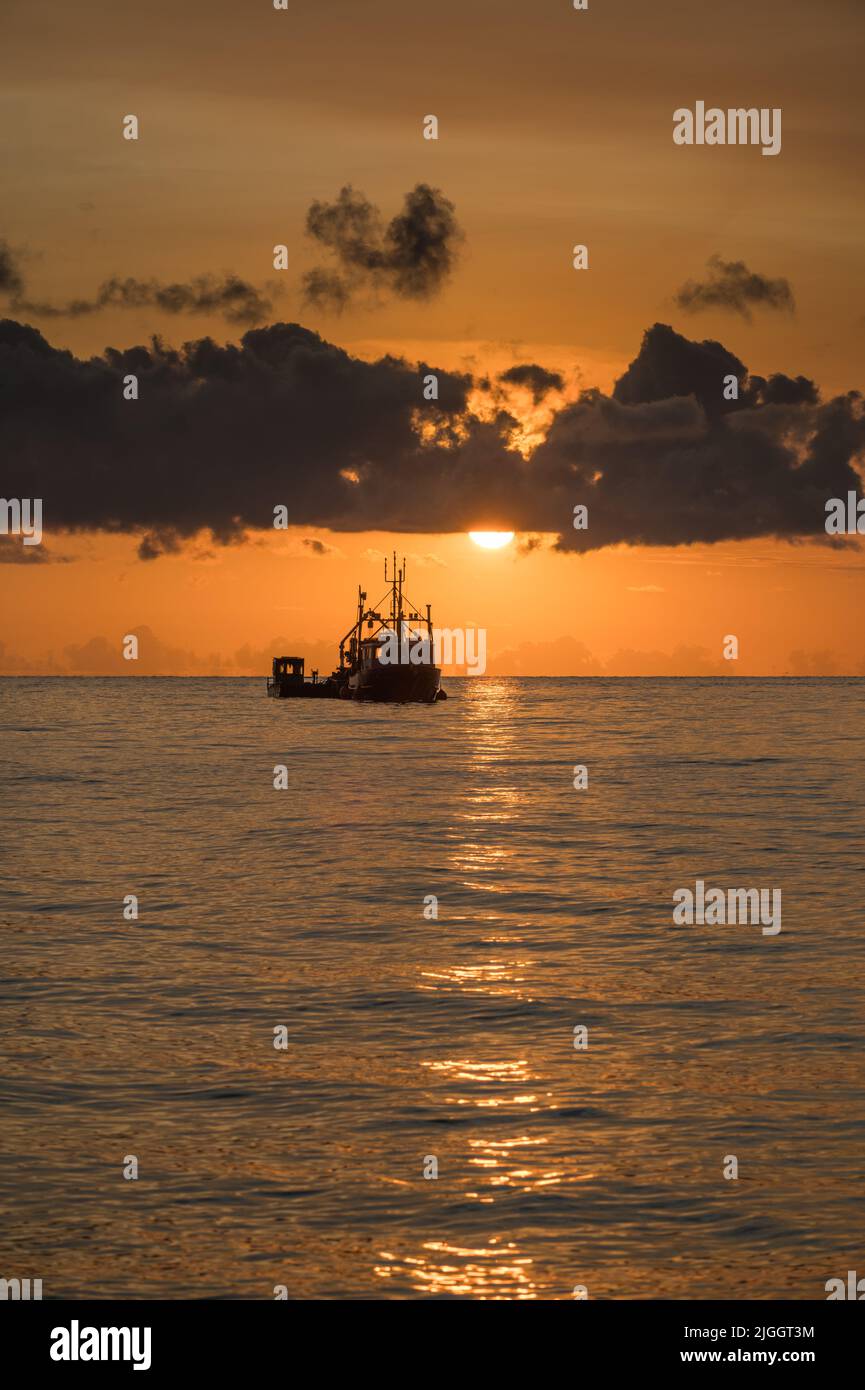 Magnifique lever de soleil doré au-dessus de Palm Cove avec la silhouette d'un chalutier de pêche ancré au large de la côte dans l'extrême nord du Queensland en Australie. Banque D'Images