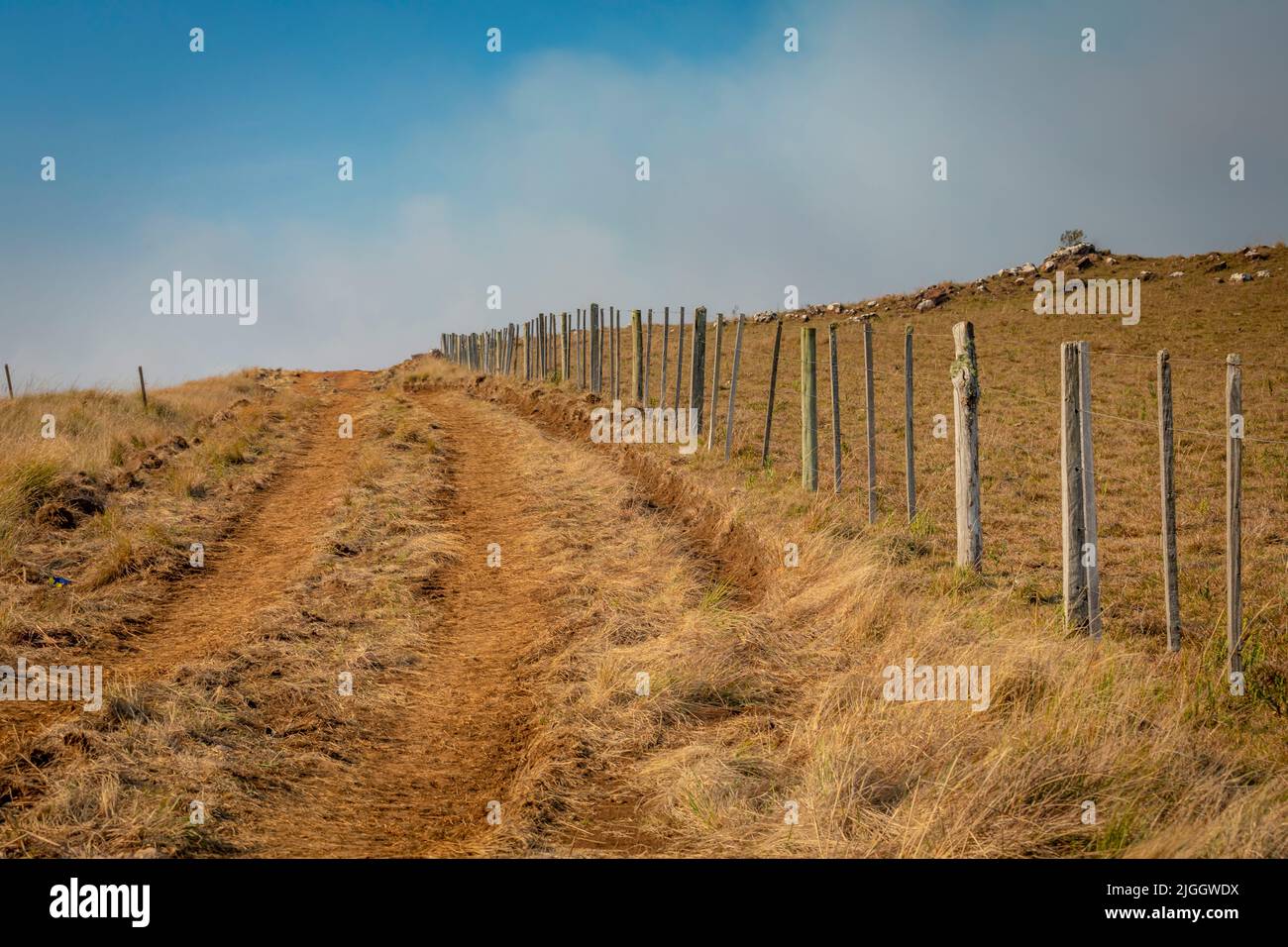 Route de la saleté dans la campagne idyllique - Rio Grande do Sul, sud du Brésil Banque D'Images