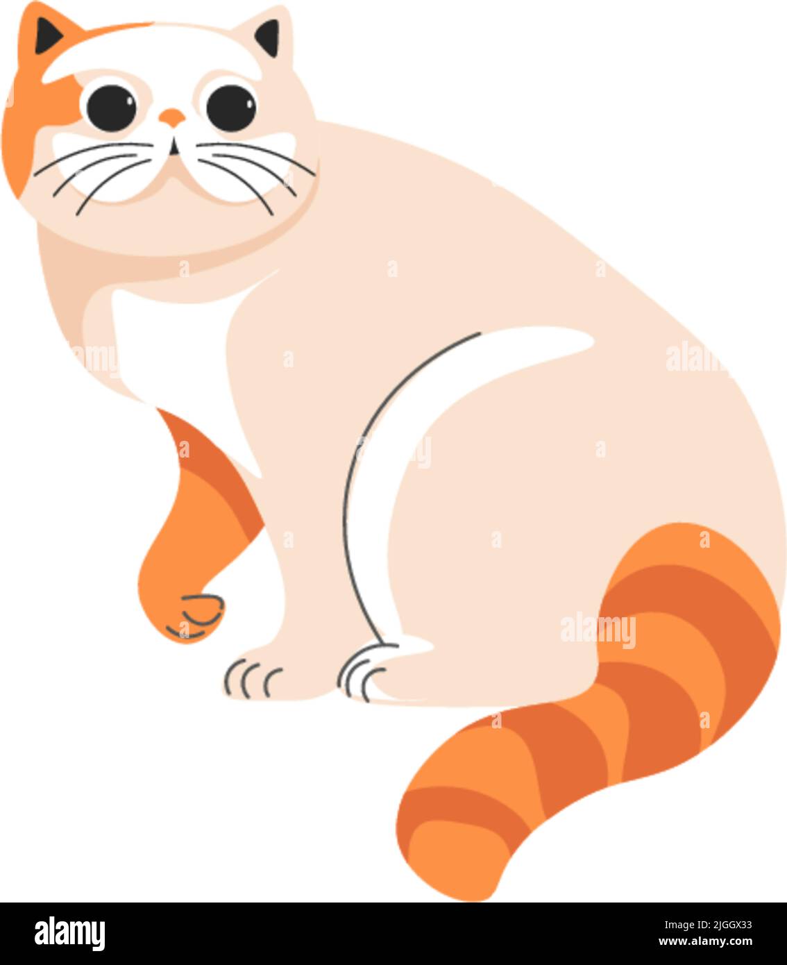 Portrait de chat de Munchkin d'animal félin, vecteur Illustration de Vecteur