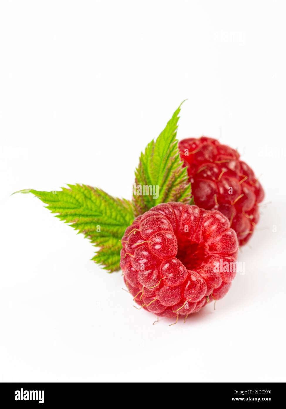 Framboises mûres avec feuille isolé sur fond blanc Banque D'Images