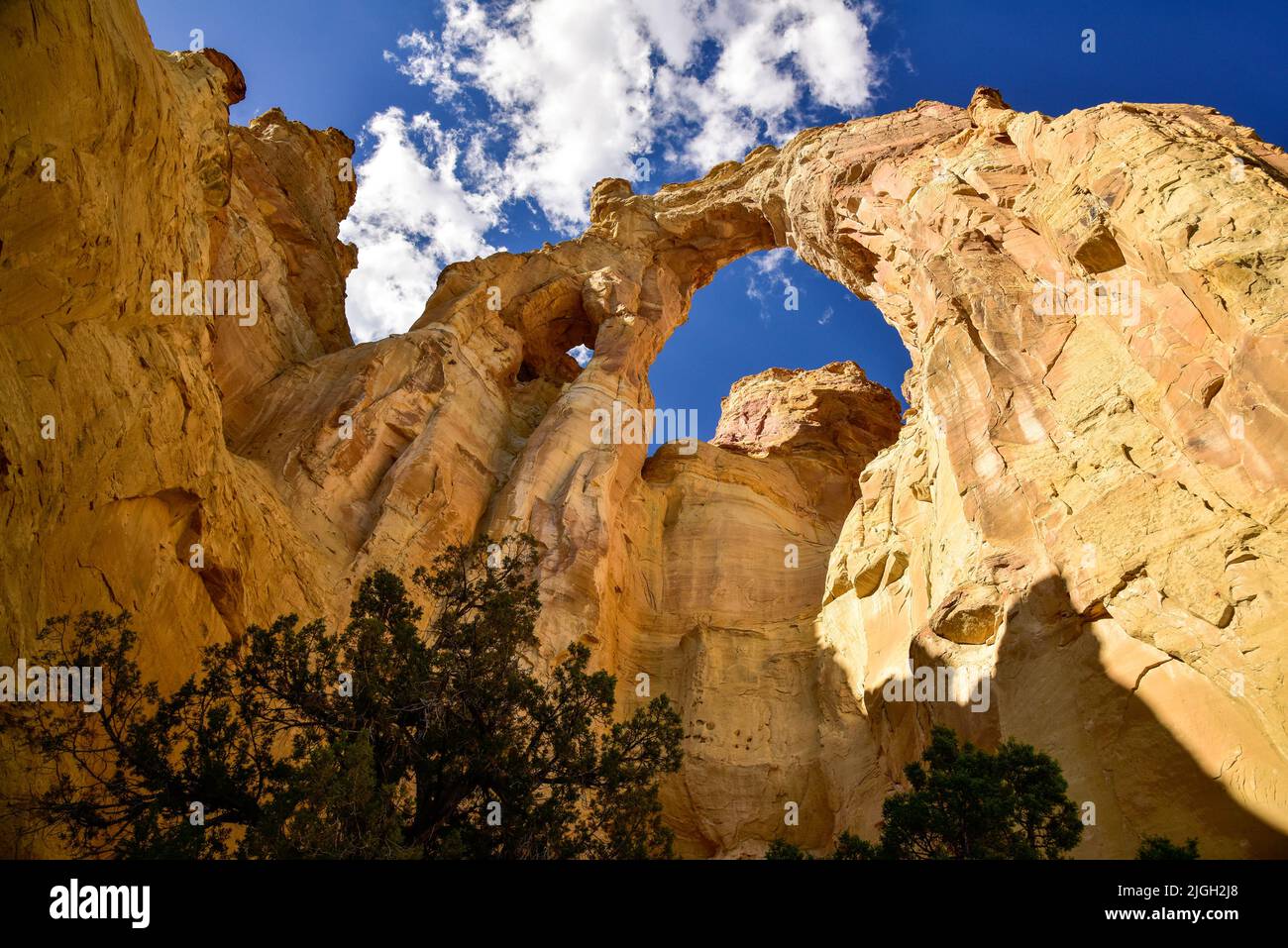 Monument national Grand Staircase-Escalante, Utah, Grosvenor Arch Banque D'Images