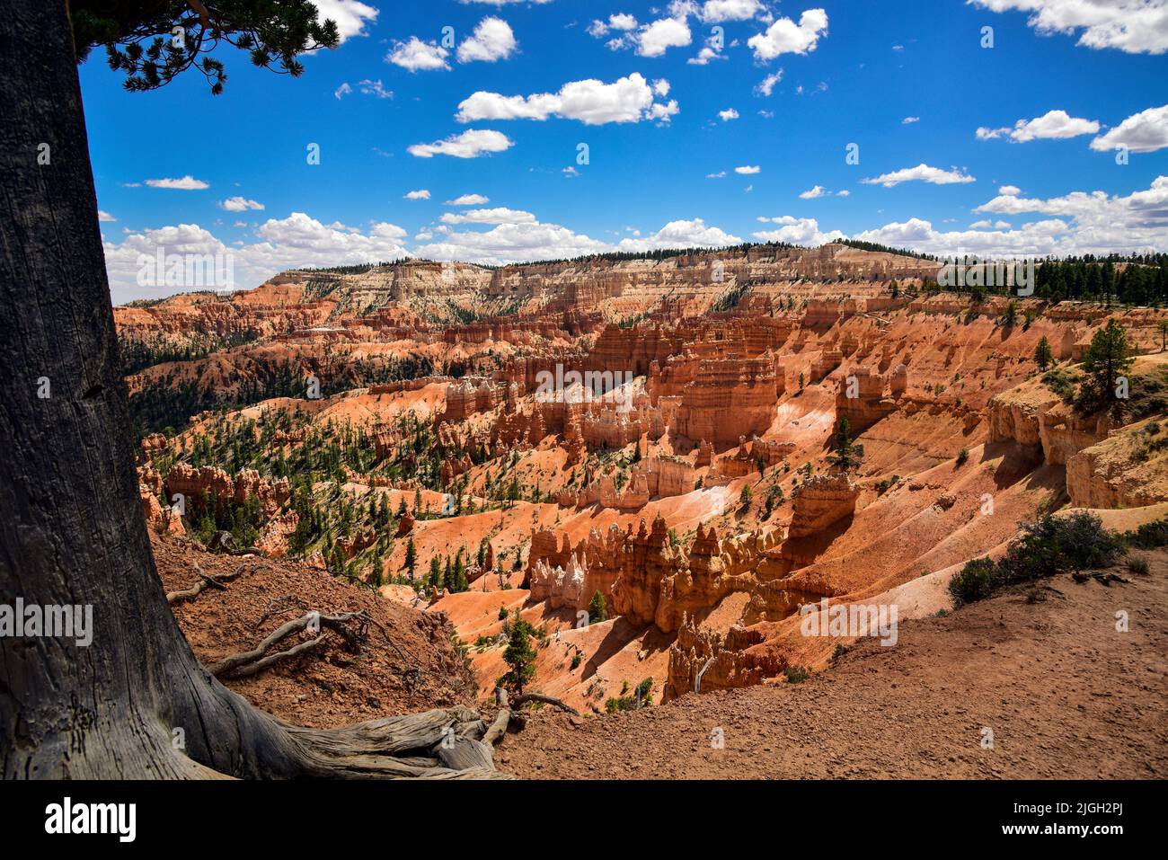 Bryce Canyon National Park, Utah Banque D'Images