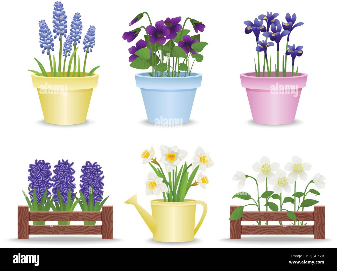 Fleurs printanières dans des pots ensemble d'icônes isolées plates avec des lits en plastique et en bois avec illustration vectorielle de fleurs Illustration de Vecteur