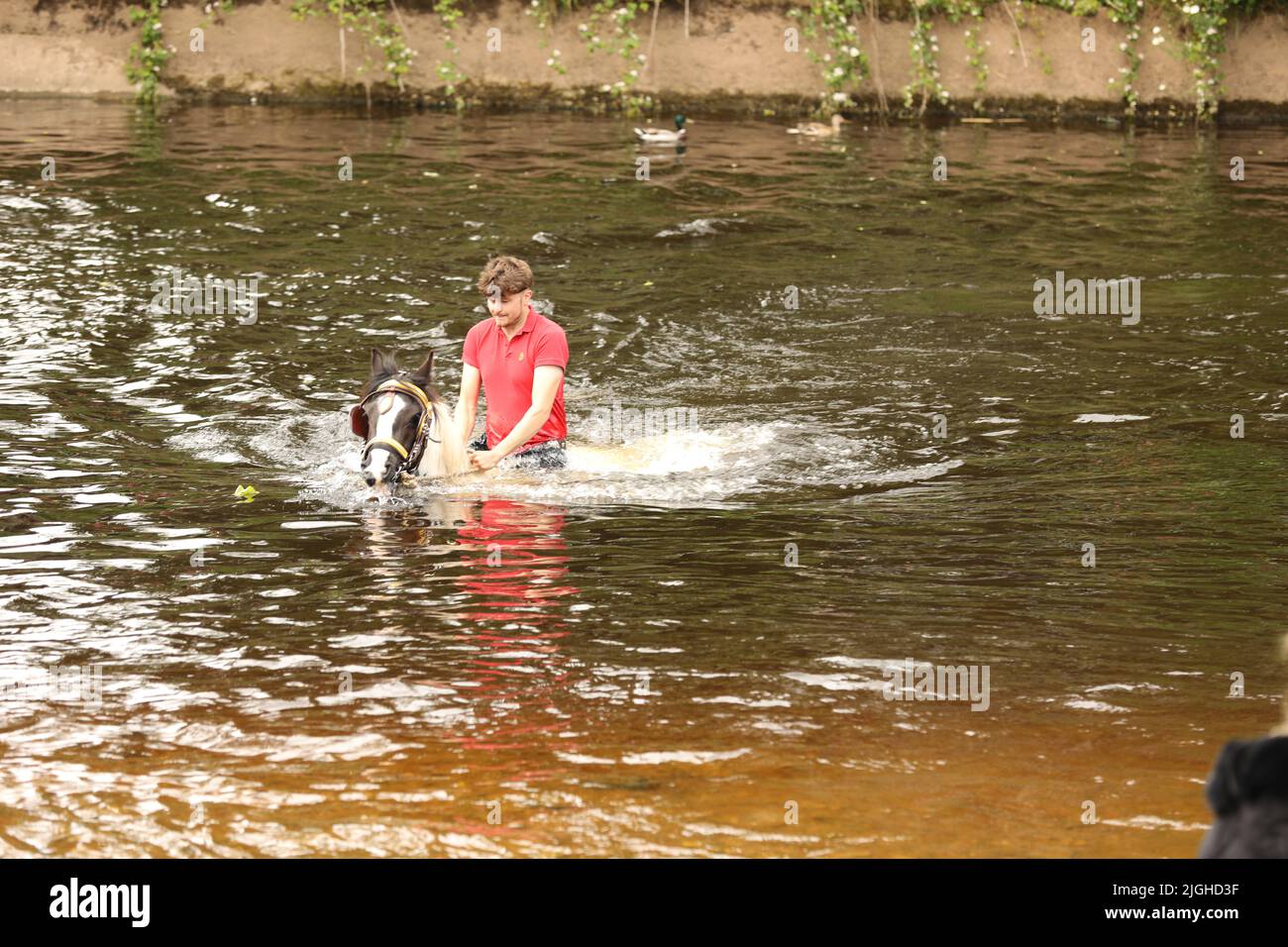 Un jeune homme et son cheval dans la rivière Eden, Appleby Horse Fair, Appleby dans Westmorland, Cumbria Banque D'Images