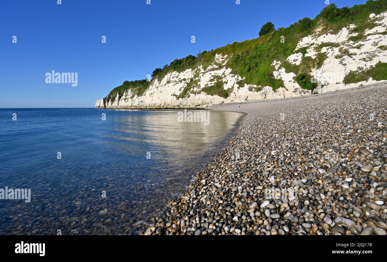 Devon Beer Beach et Beer Head Chalk Cliffs en été Banque D'Images