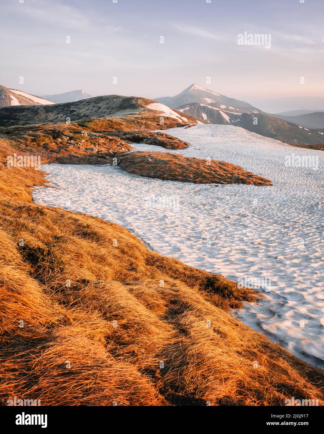 Vue sur les collines herbeuses avec des chaussettes orange et des montagnes enneigées en arrière-plan. Scène de printemps spectaculaire. Photographie de paysage Banque D'Images