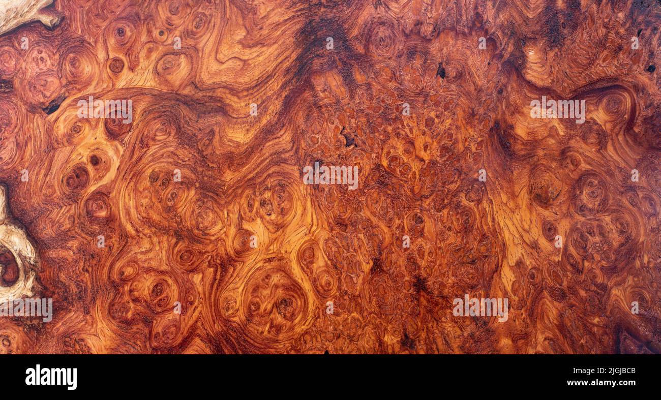 Naturel Afzelia burl bois rayé est un bois beau motif pour l'arrière-plan Banque D'Images