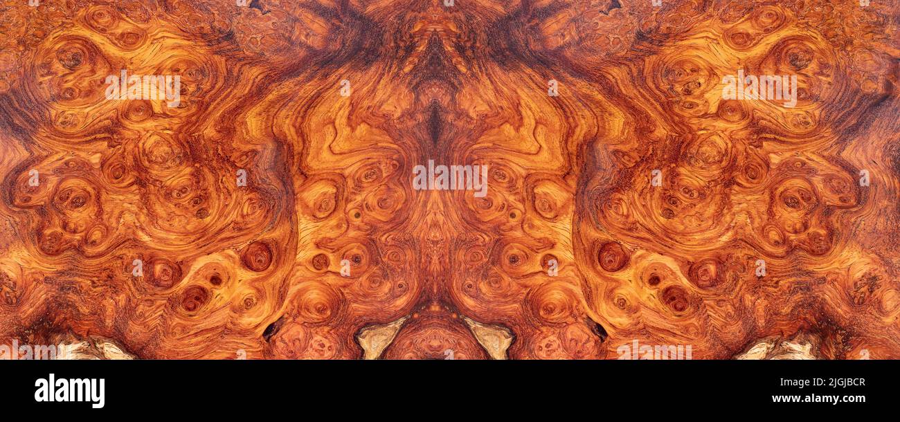 Naturel Afzelia burl bois rayé est un bois beau motif pour l'arrière-plan Banque D'Images