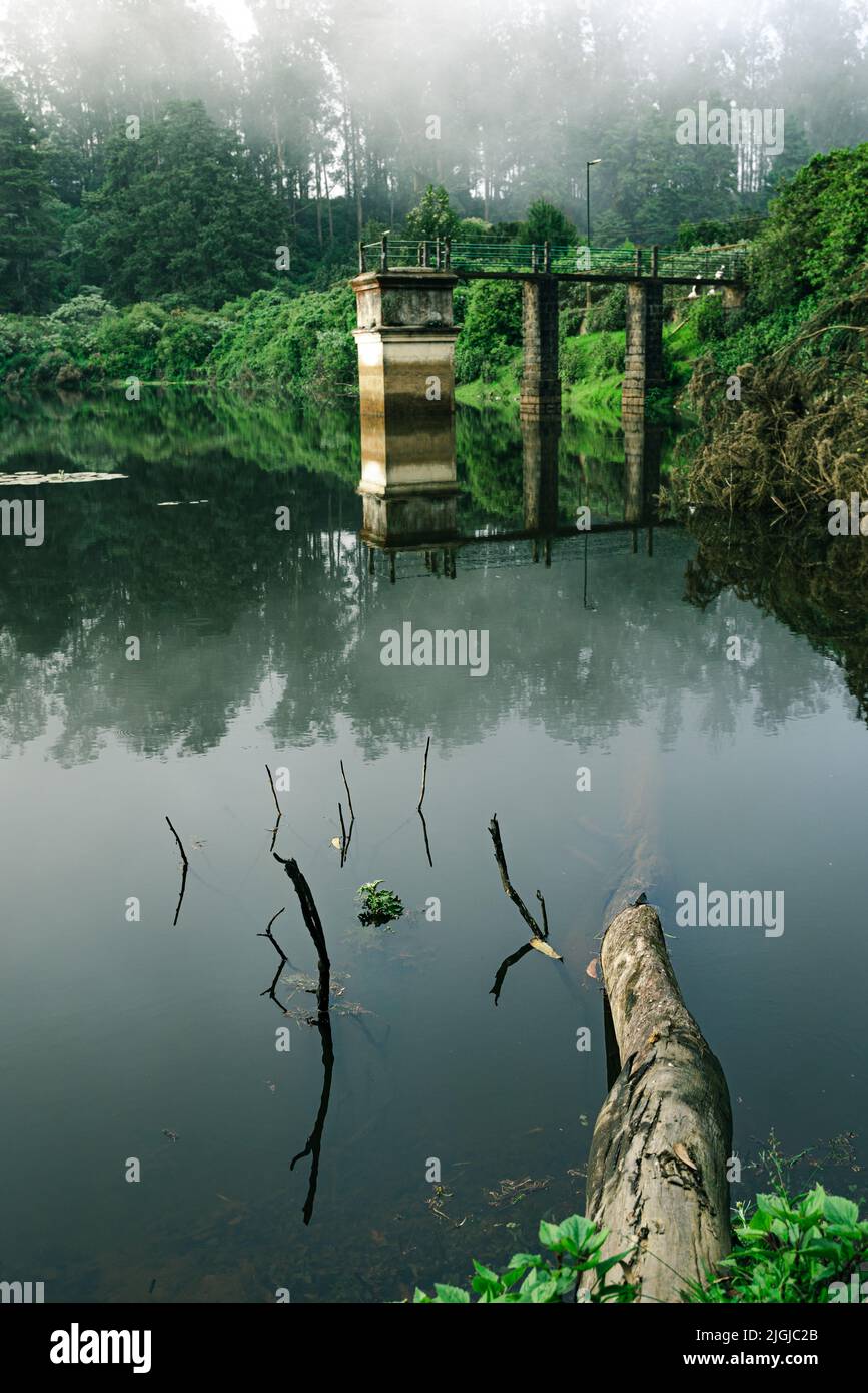 Image brumeuse et moody d'un lac avec une bûche d'arbre et un pont Banque D'Images