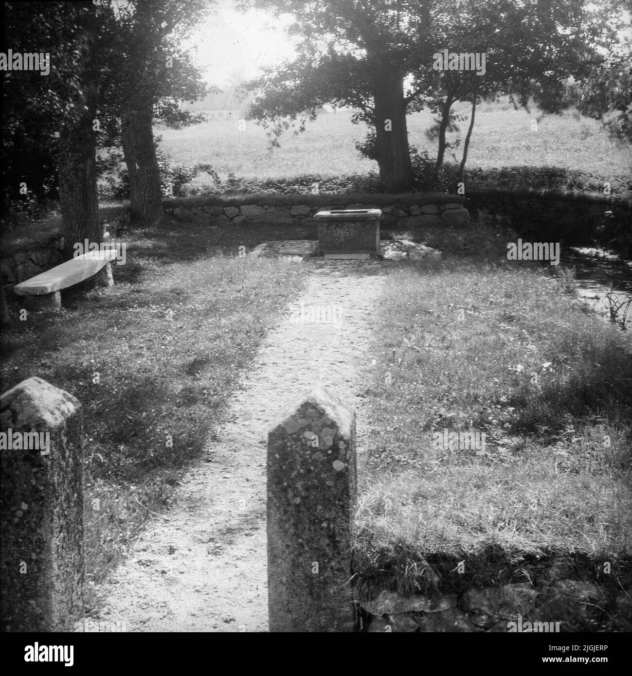 La source du roi, aussi appelé le gardien, à Asarum. Banque D'Images