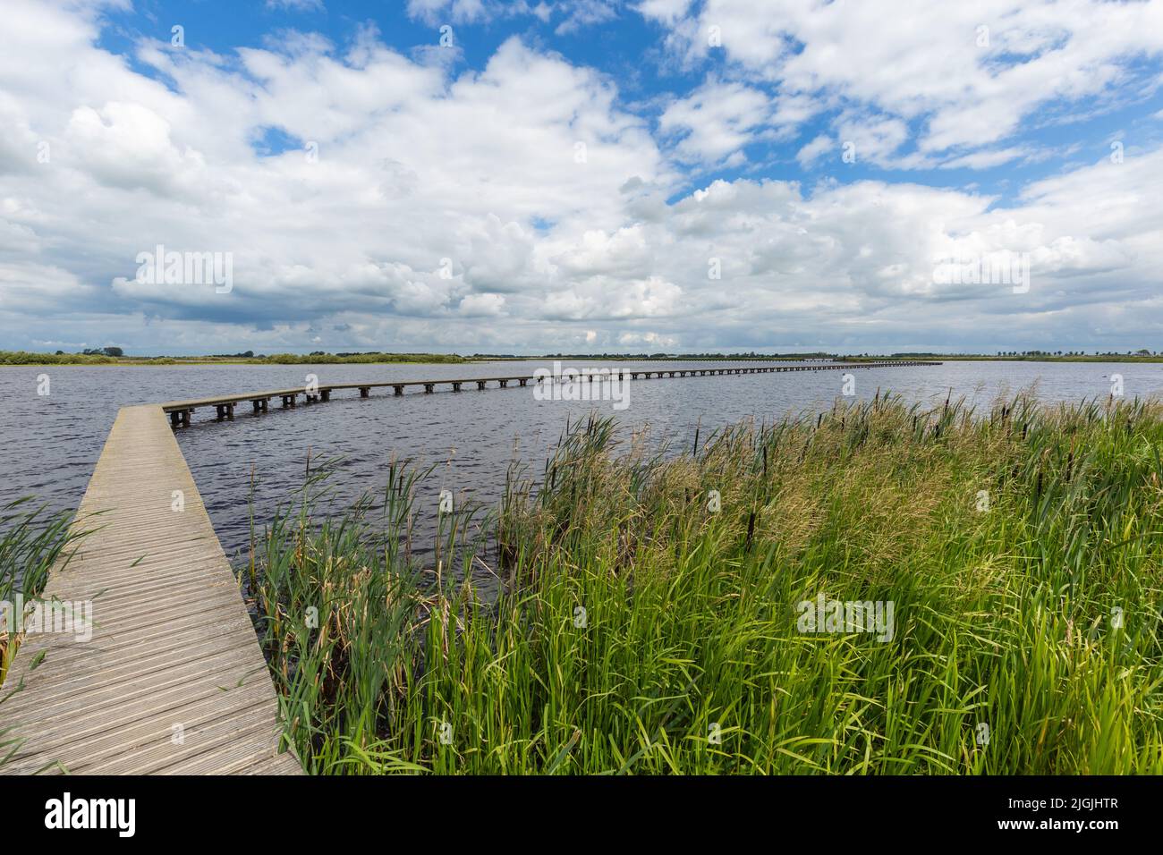 Paysage nature réserve 't Roegwold près de la ville de Schildwolde dans la province néerlandaise de Groningen avec club chemin à travers l'eau Banque D'Images