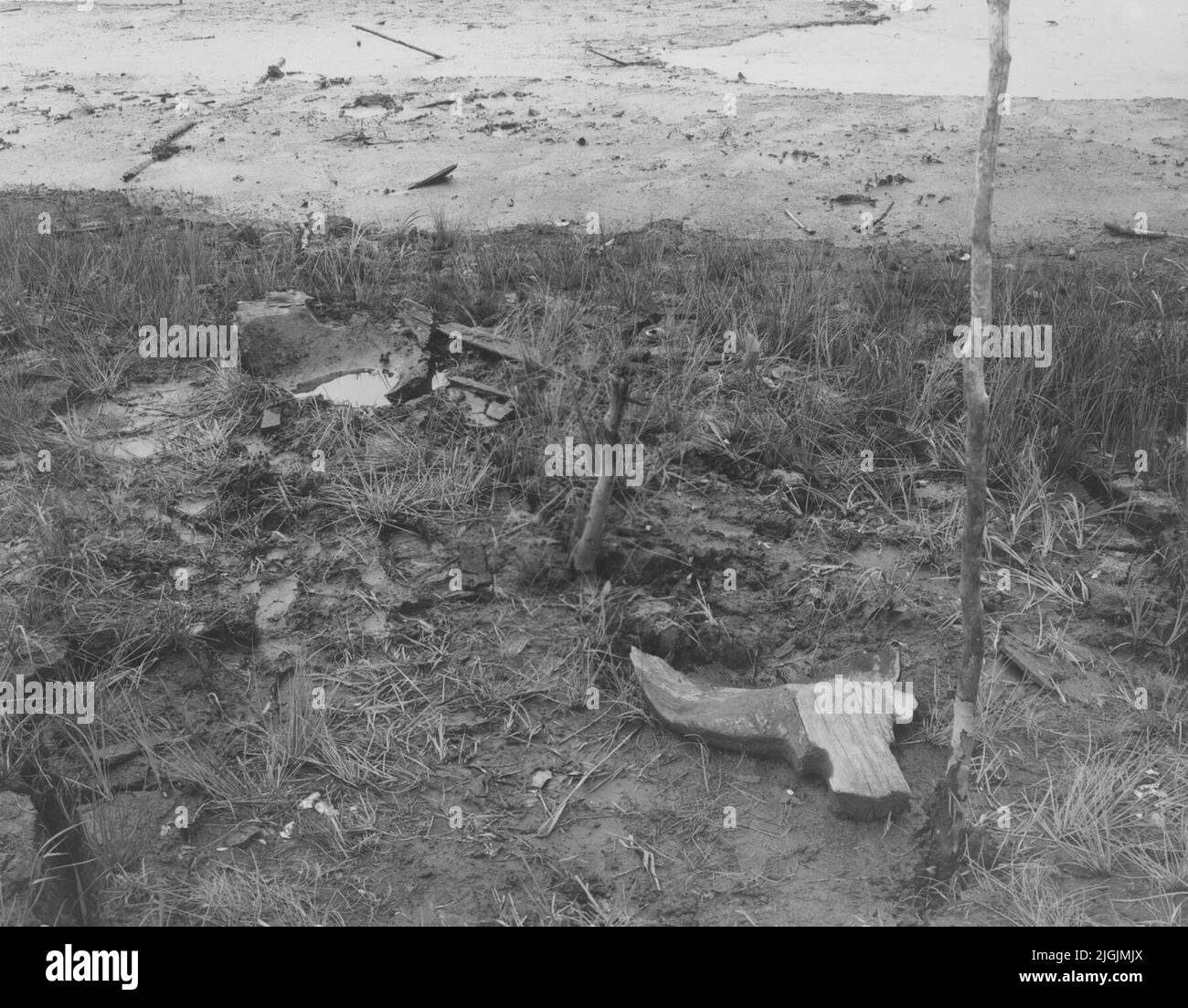 Sälvåt Ronneby sn, Skärsjön. Trouver un site pour le bateau en rondins de l'âge de pierre. Banque D'Images