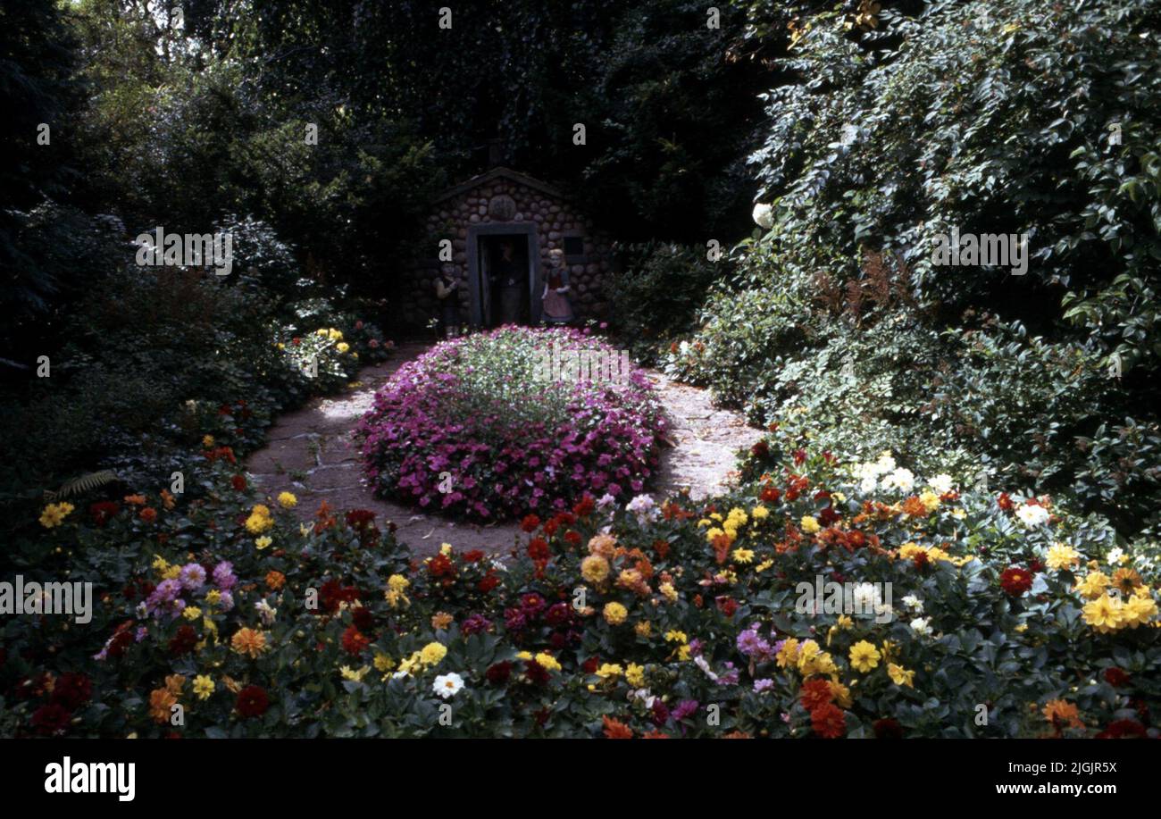 Ferme de fleurs, Eringsboda. Banque D'Images