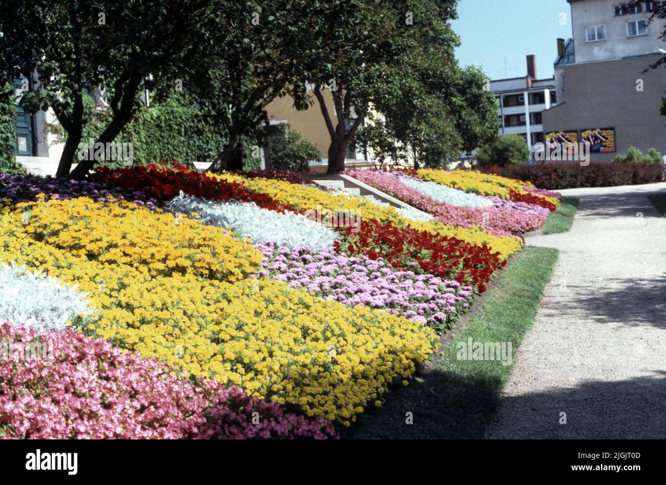 Réductions sur les fleurs à Tingshusparken, Ronneby. Banque D'Images