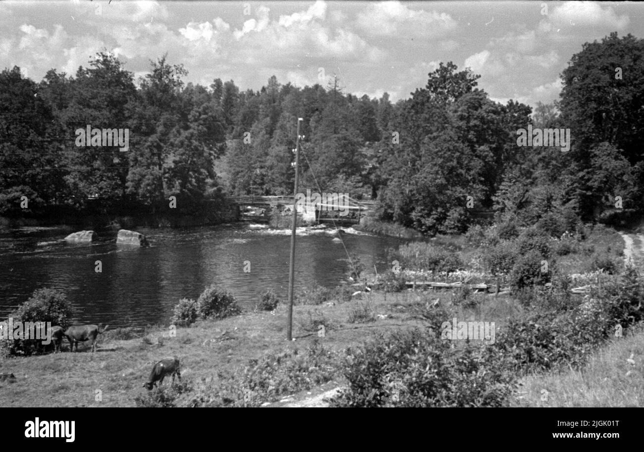 Bro Åparty qui passe sous l'ancien pont routier dans la cavité du cerf, paroisse de Backaryd. Banque D'Images
