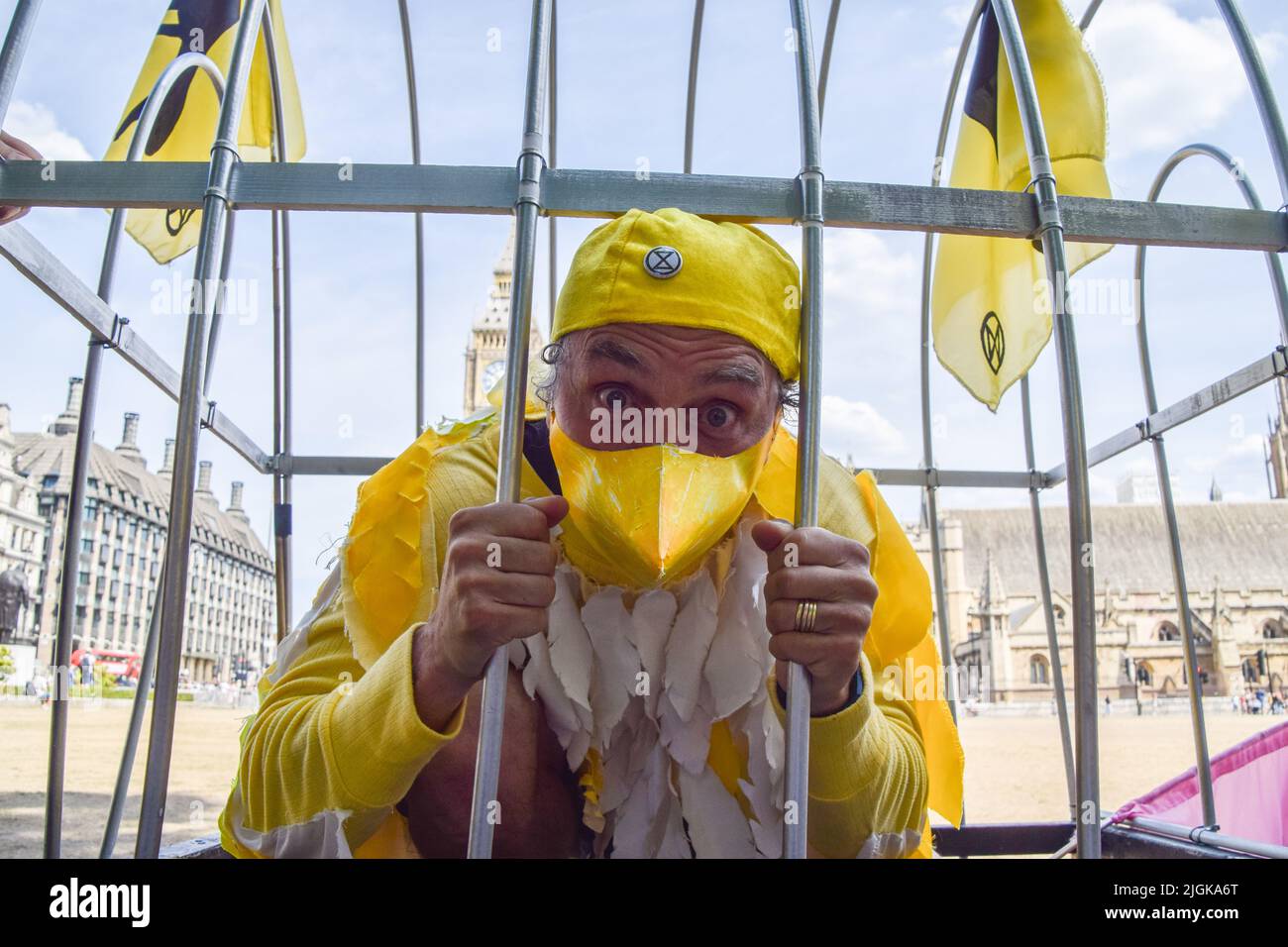 Londres, Angleterre, Royaume-Uni. 11th juillet 2022. Un activiste portant un costume canari est assis dans une cage. Les militants de la rébellion de l'extinction vêtus de canaris ont organisé une « mort-dedans » sur la place du Parlement pour protester contre les nouvelles mines de charbon au Royaume-Uni. (Image de crédit : © Vuk Valcic/ZUMA Press Wire) Banque D'Images