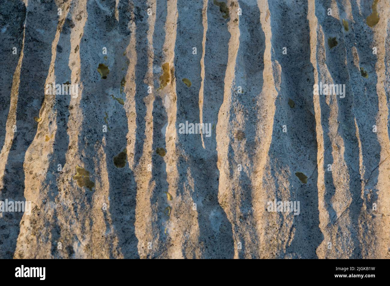 Arrière-plan de texture calcaire avec ombres Banque D'Images