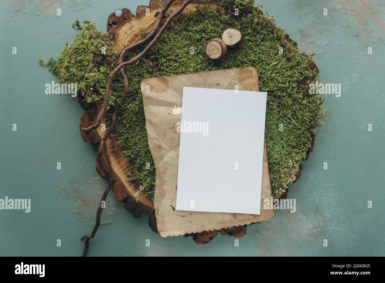 maquette d'invitation, papier blanc, maquette de lettre, fond naturel, mousse et arbre Banque D'Images