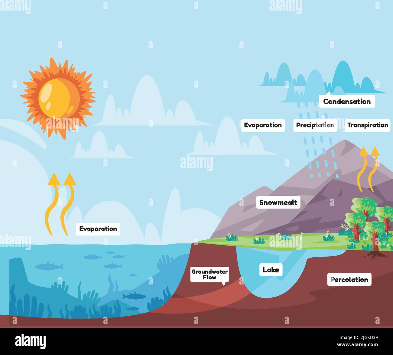 Cycle de l'eau l'eau du procédé s'évapore dans l'atmosphère se condense en pluie dans les nuages et tombe la pluie de précipitations Illustration de Vecteur