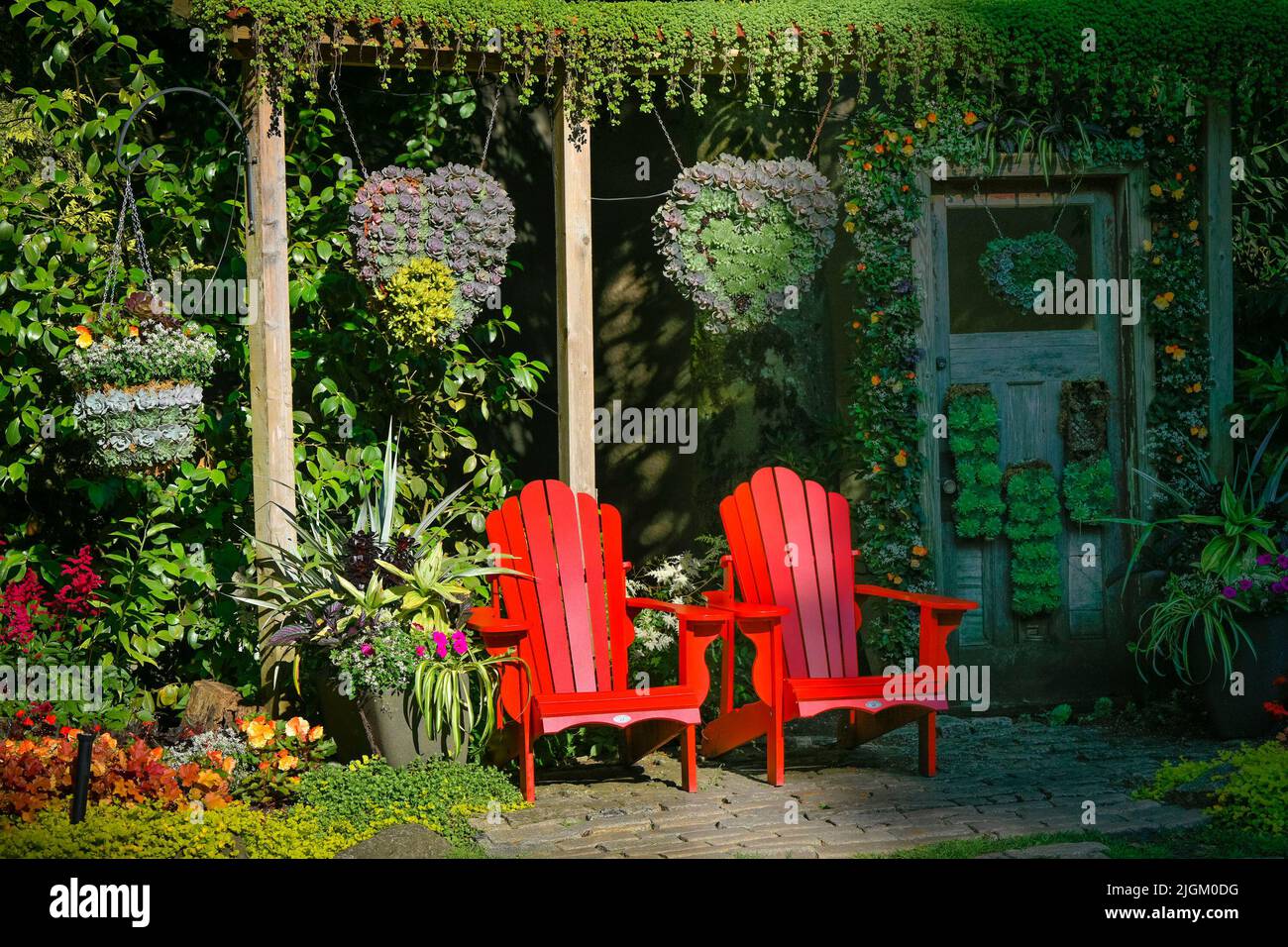 Herb House Rose Garden, Queen’s Park, New Westminster (Colombie-Britannique), Canada Banque D'Images