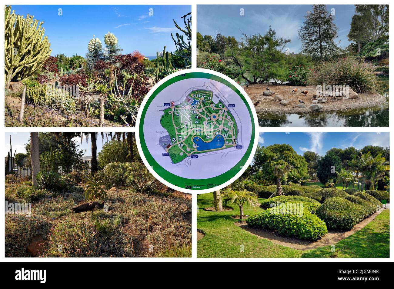 El Parque de la Paloma est l'un des plus beaux de la Costa del sol. Situé à Benalmádena, avec étang artificiel, sentiers de randonnée, terrains de jeux Banque D'Images