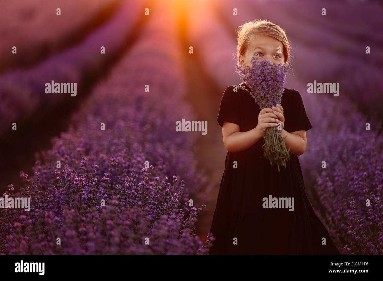 Portrait d'une jolie fille avec un bouquet de fleurs de lavande dans ses mains. Un enfant marche dans un champ de lavande au coucher du soleil. Enfant en robe noire est ha Banque D'Images