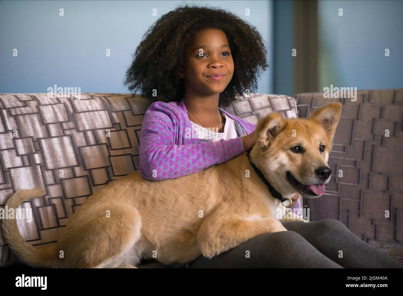 QUVENZHANE WALLIS, ANNIE, 2014 Banque D'Images