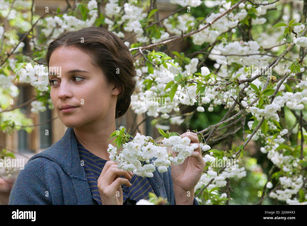 ALICIA VIKANDER, TESTAMENT DE LA JEUNESSE, 2014 Banque D'Images
