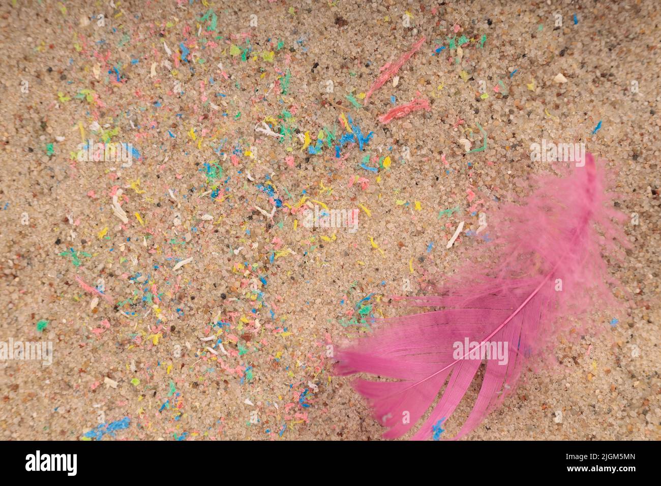 Micro lastik dans le sable sur la plage, plumes d'oiseau. Un symbole de danger pour les oiseaux. Banque D'Images