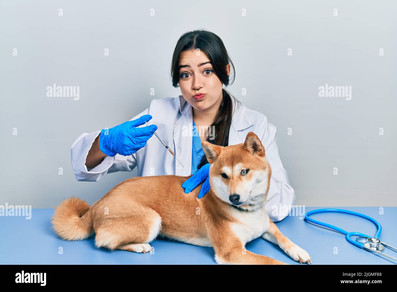 Belle femme vétérinaire hispanique mettant le vaccin à chien chiot puffant les joues avec le visage drôle. Bouche gonflée avec de l'air, attrapant l'air. Banque D'Images