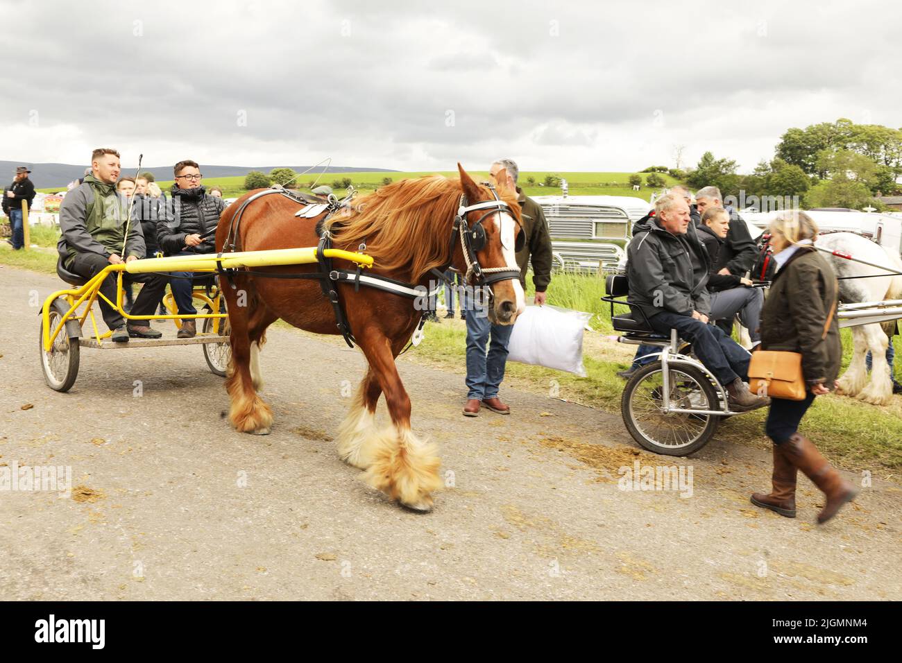 Caravanes de chevaux Banque de photographies et d’images à haute