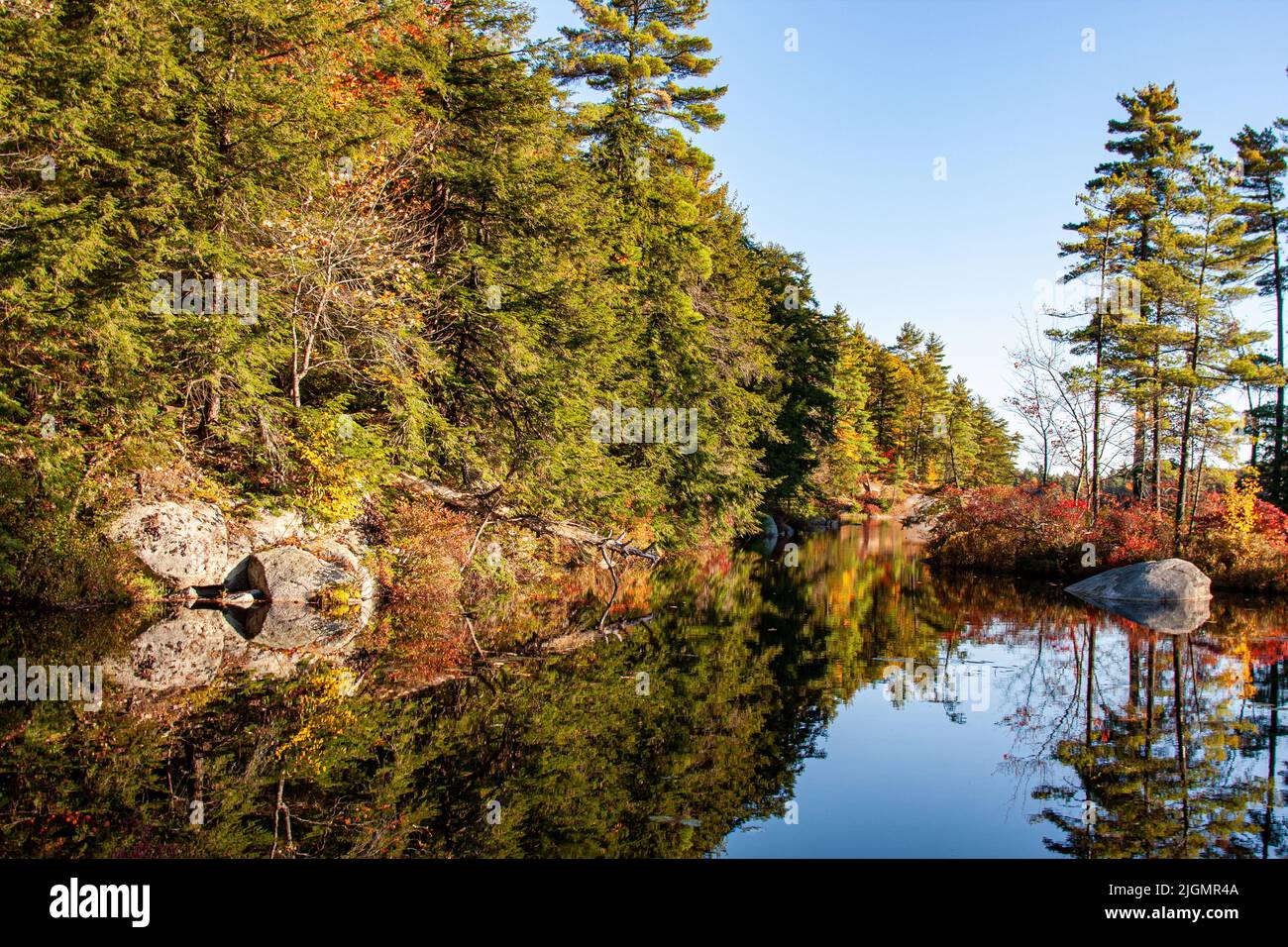 Un étang dans le parc national de Pisgah, Winchester, New Hampshire Banque D'Images