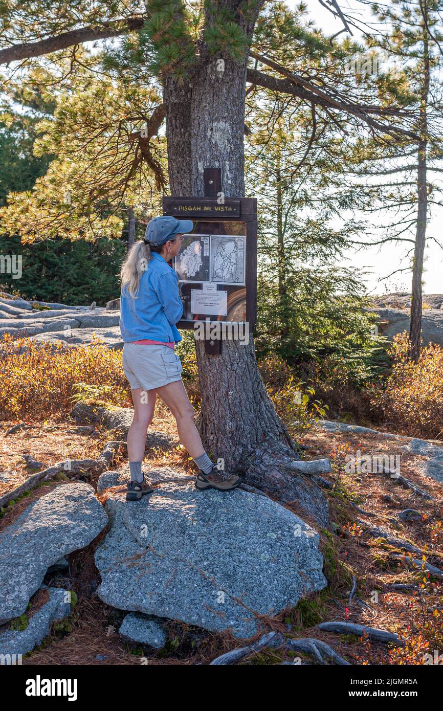 Femme randonnée dans le parc national de Pisgah dans le New Hampshire Banque D'Images