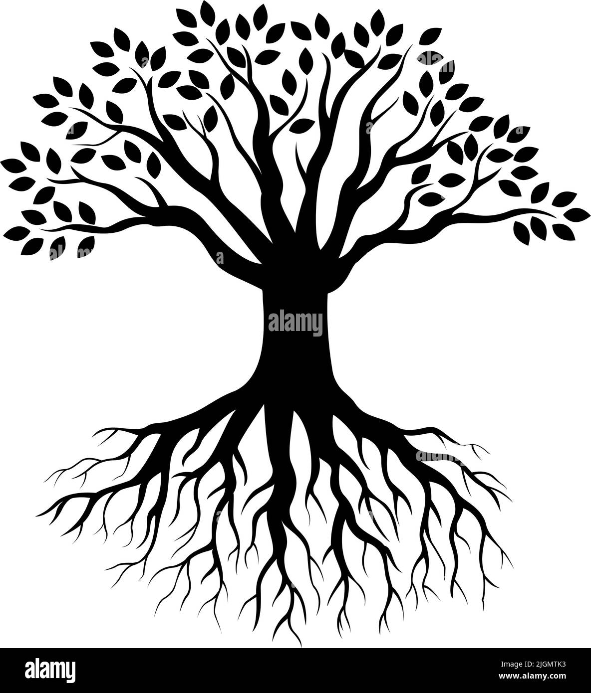 La silhouette des arbres isolé sur fond blanc Illustration de Vecteur