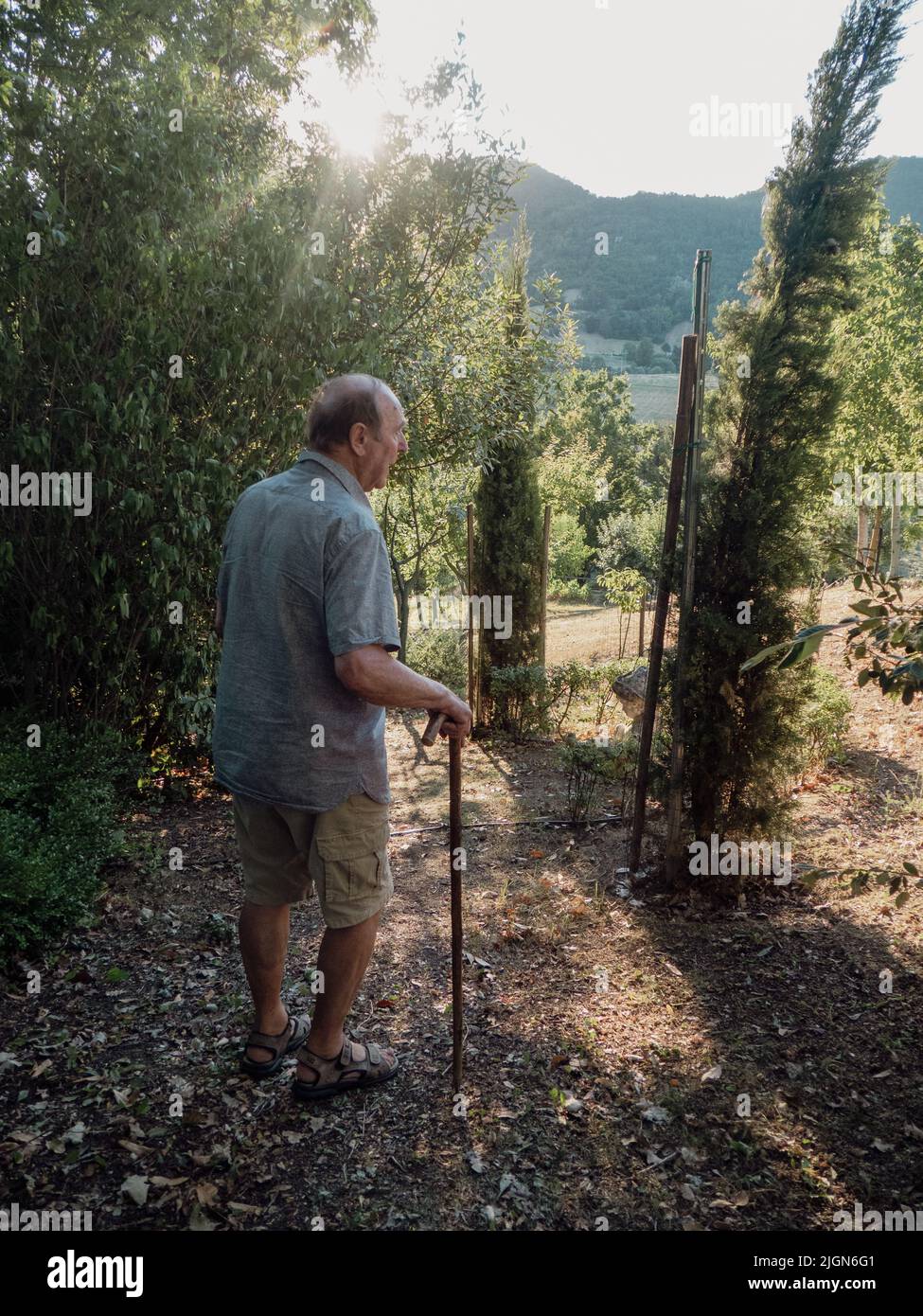 vieil homme avec mât de ciel marchant dans le jardin et la ferme en été Banque D'Images