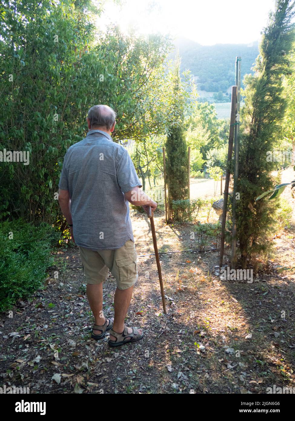vieil homme avec mât de ciel marchant dans le jardin et la ferme en été Banque D'Images