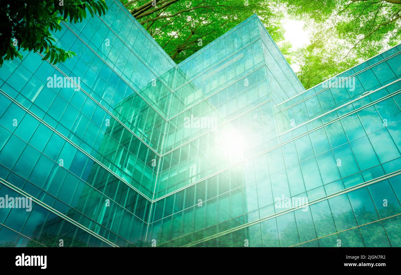 Bâtiment écologique dans la ville moderne. Branches d'arbres vertes avec feuilles et construction durable en verre pour réduire la chaleur et le dioxyde de carbone. Bureau Banque D'Images