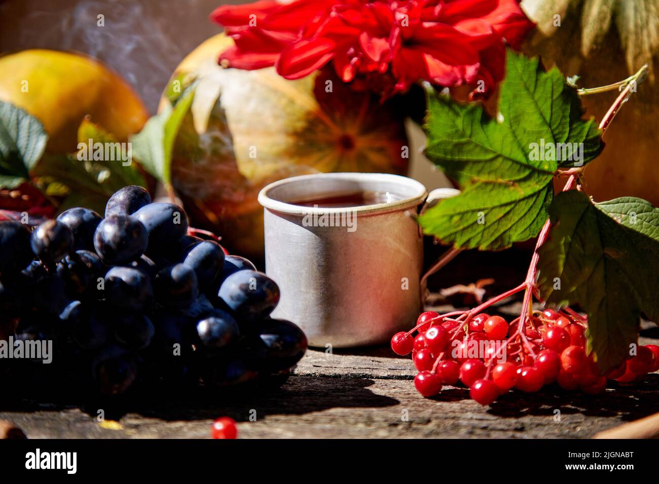 Nature douillette encore vie avec une tasse de thé, de raisin et de viburnum dans le style rustique.Concept esthétique d'automne, rouge georgine.Maison confortable avec thé chaud.Concept de Thanksgiving.Photo de haute qualité Banque D'Images
