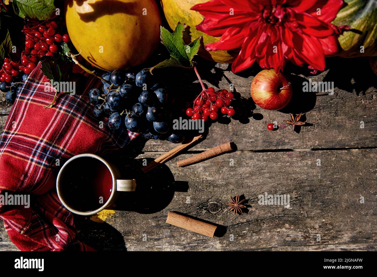 Rustique confortable encore la vie avec des raisins, le viburnum, le maïs, le melon de citrouille, les pommes et les dahlias rouges. Maison confortable avec une tasse de thé chaude. Concept de Thanksgiving. Concept esthétique d'automne. Photo de haute qualité Banque D'Images