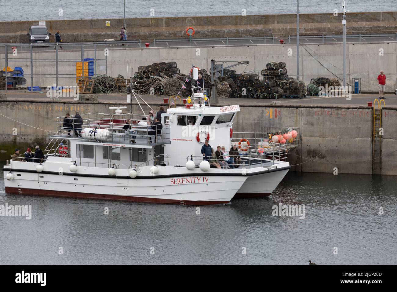 Sérénité 4 sorties en bateau de plaisir en soirée au port de Seahouses Northumberland Angleterre Grande-Bretagne Banque D'Images