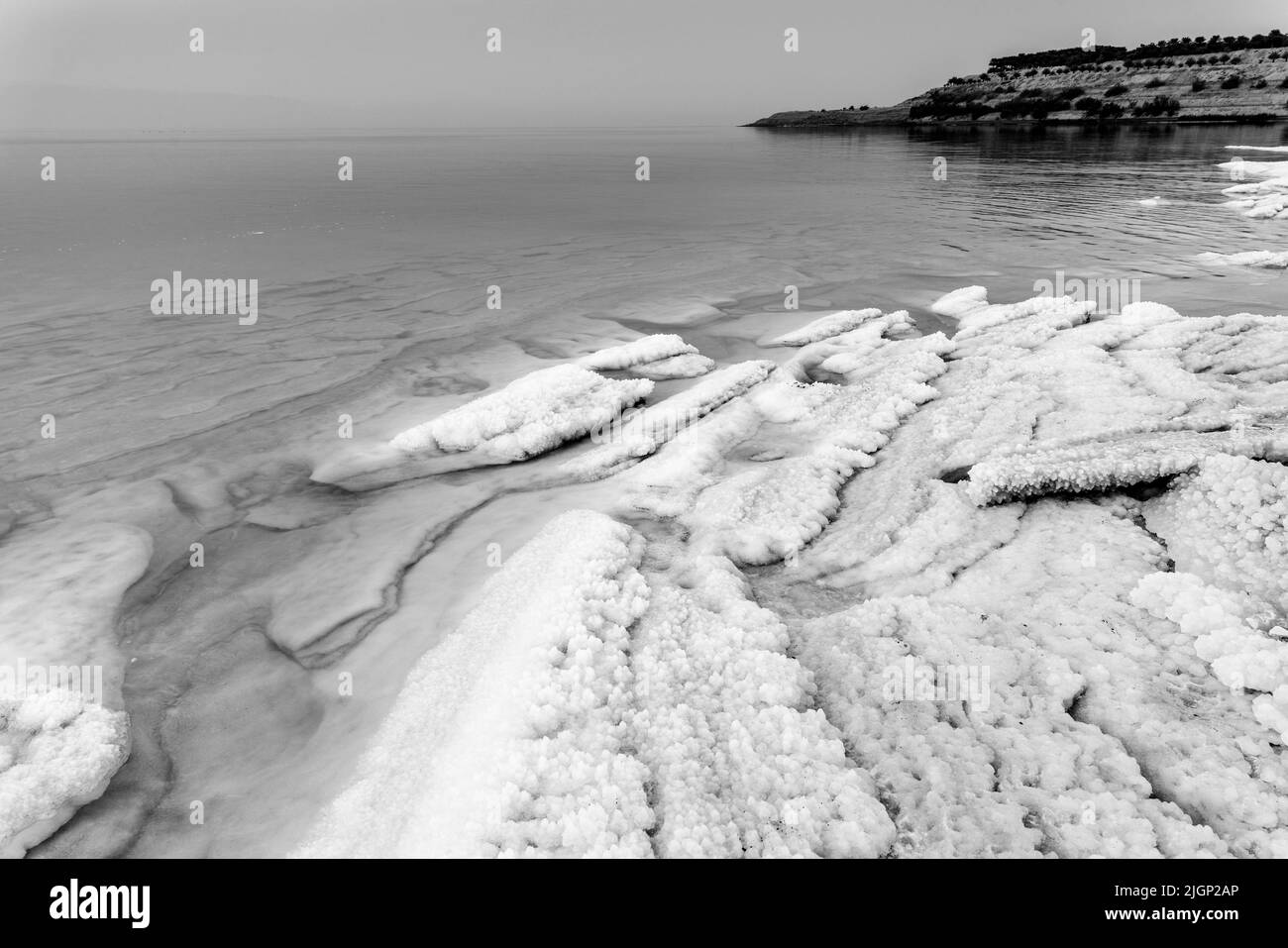 Dépôts de sel sur la côte de la mer Morte, Jordanie, Asie. Banque D'Images