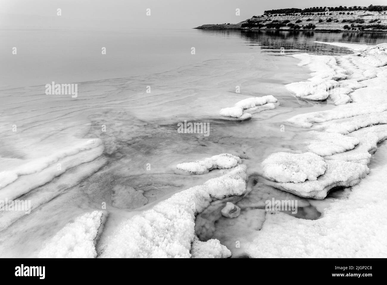 Dépôts de sel sur la côte de la mer Morte, Jordanie, Asie. Banque D'Images