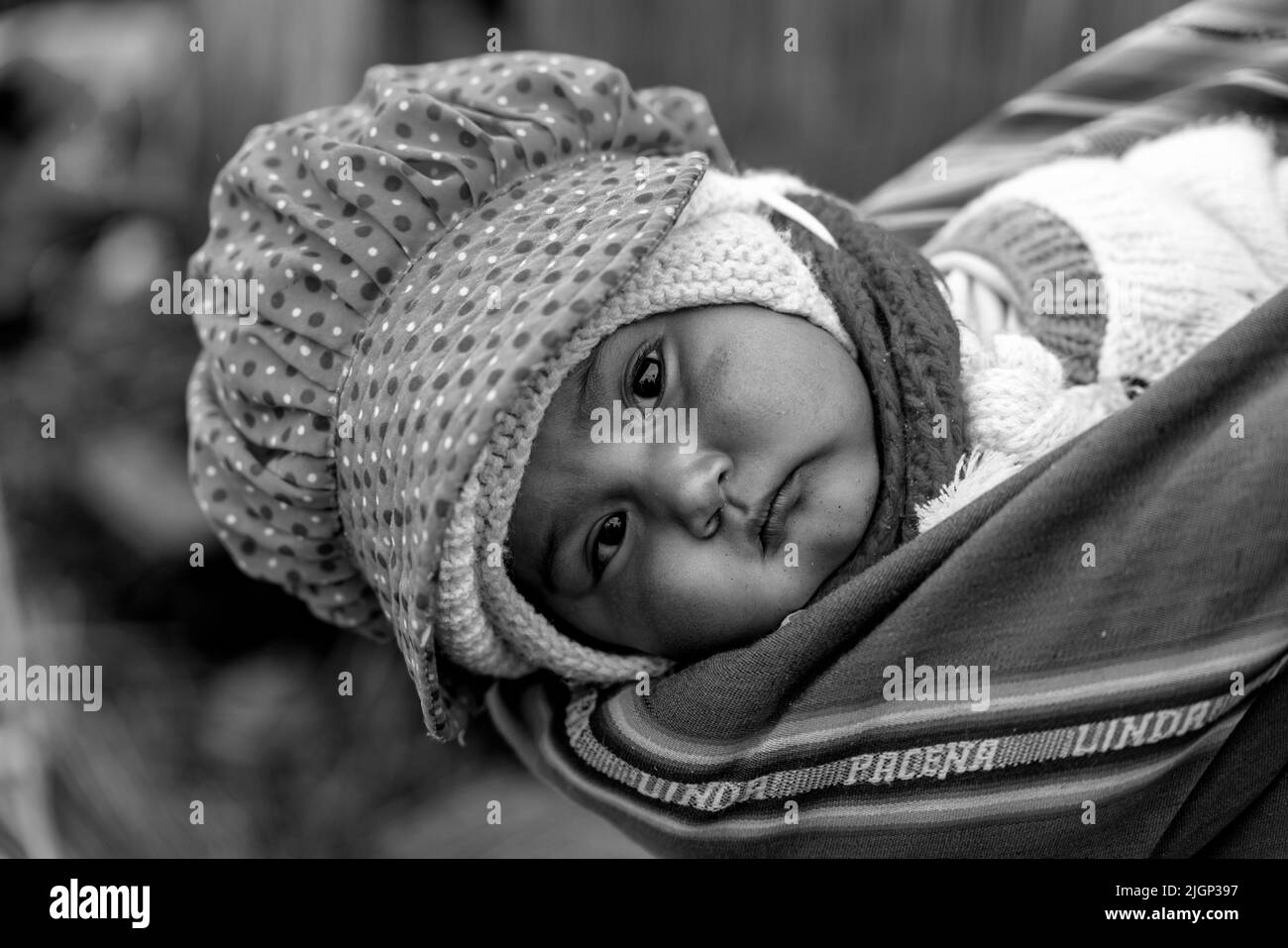 Un bébé Uros transporté dans Une Sling sur les îles flottantes Uros, lac Titicaca, Puno, Pérou. Banque D'Images