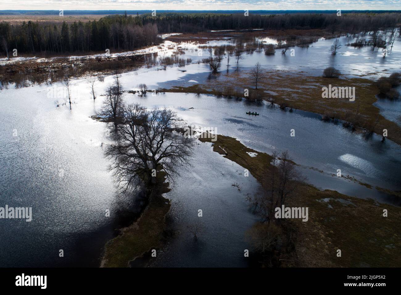 Paysage inondé pendant la soi-disant cinquième saison dans le parc national de Soomaa, Estonie Banque D'Images