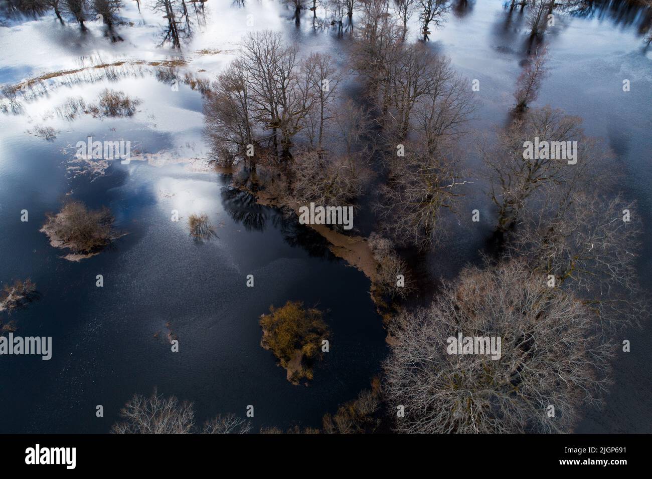 Paysage inondé pendant la soi-disant cinquième saison dans le parc national de Soomaa, Estonie Banque D'Images