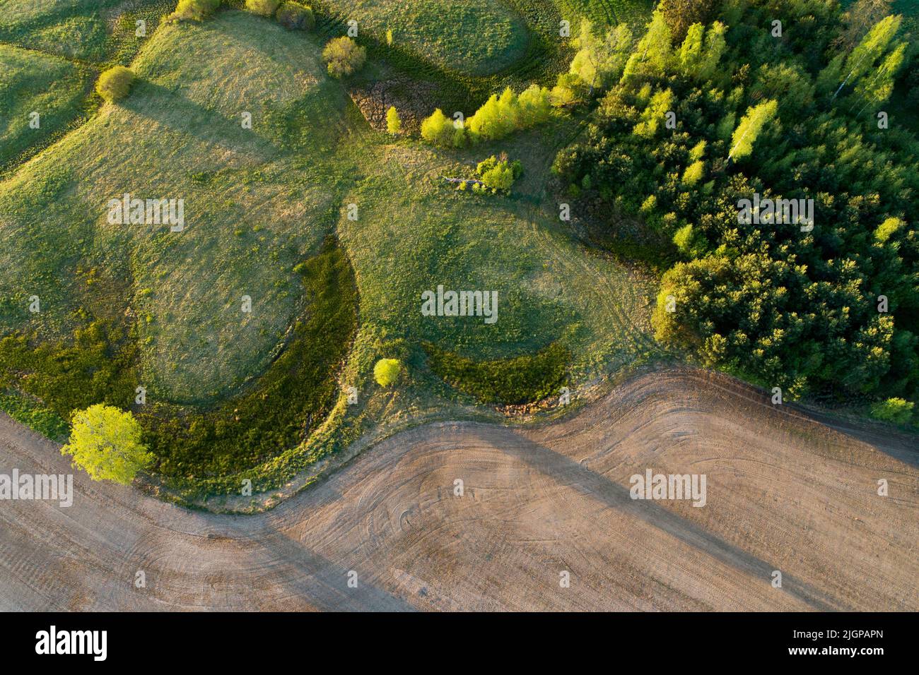 Une antenne d'un paysage rural en mosaïque avec des champs et des buissons Banque D'Images
